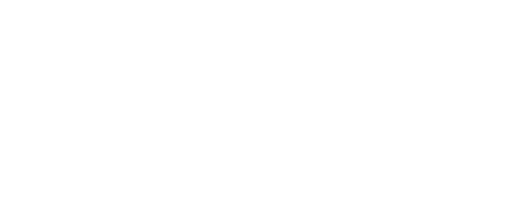 ALN Kosmetik Kassel Logo weiß